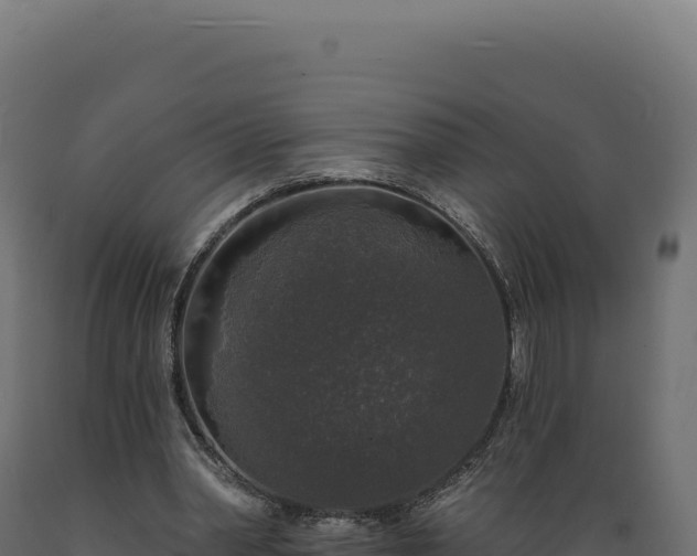 X0000089960390200707061144