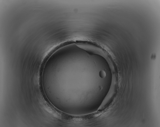 X0000089960391200707061144