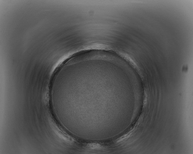 X0000089960392200707061144