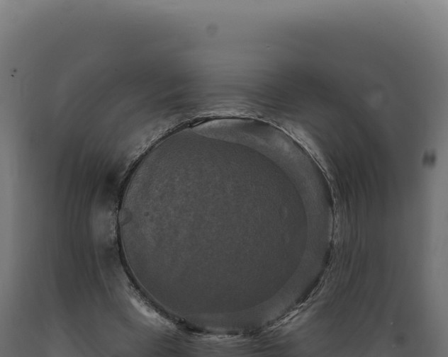 X0000089960393200707061144