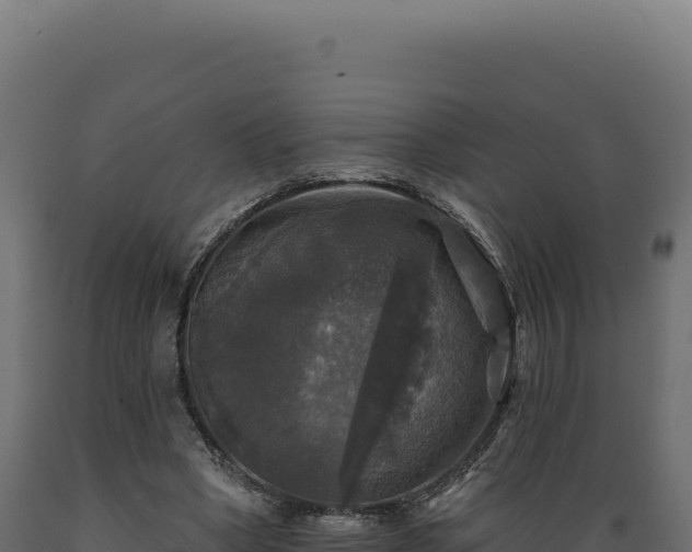 X0000089960394200707061144