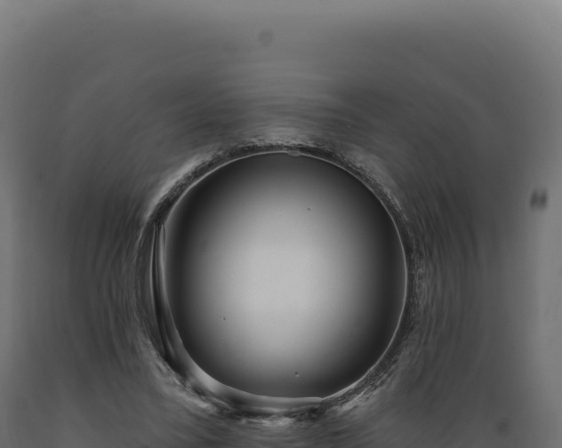 X0000089960395200707061144