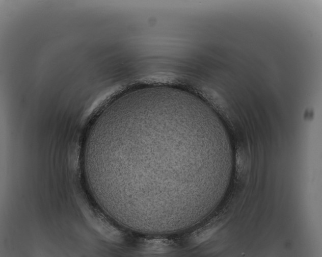 X0000089960396200707061144