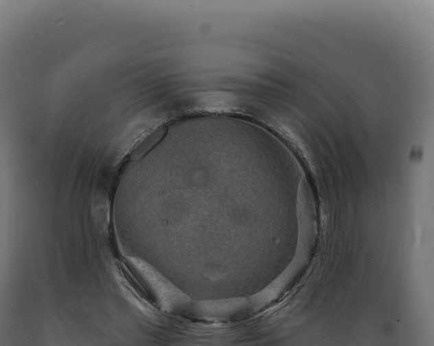 X0000089960397200707061144
