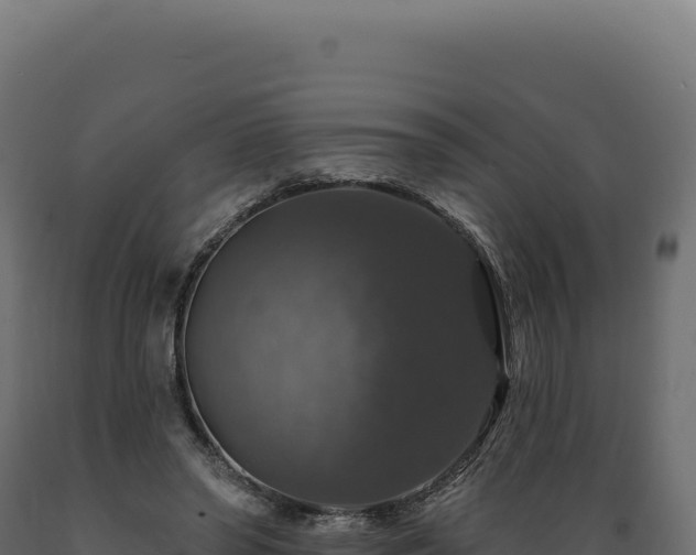 X0000089960398200707061144