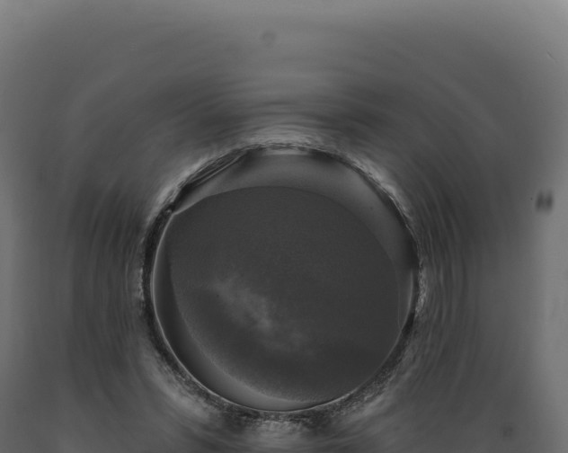 X0000089960399200707061144