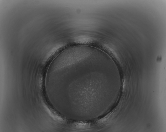 X0000089960400200707061144