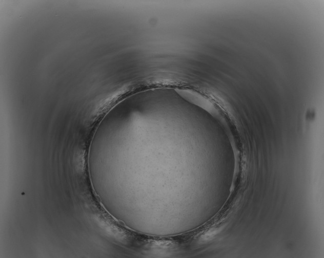 X0000089960401200707061144