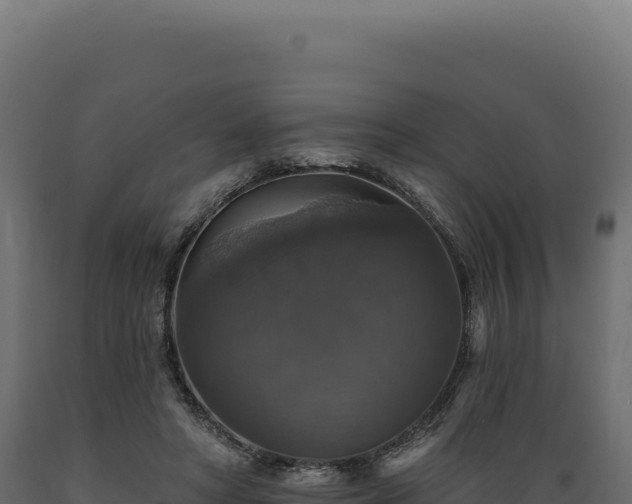 X0000089960402200707061144