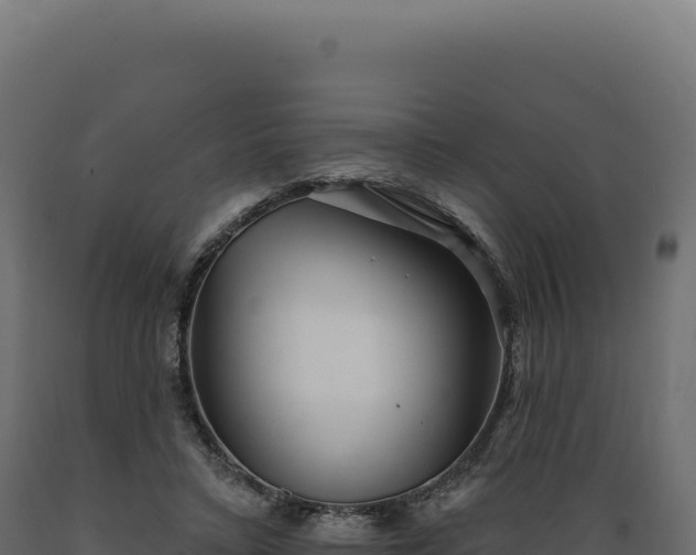 X0000089960403200707061144