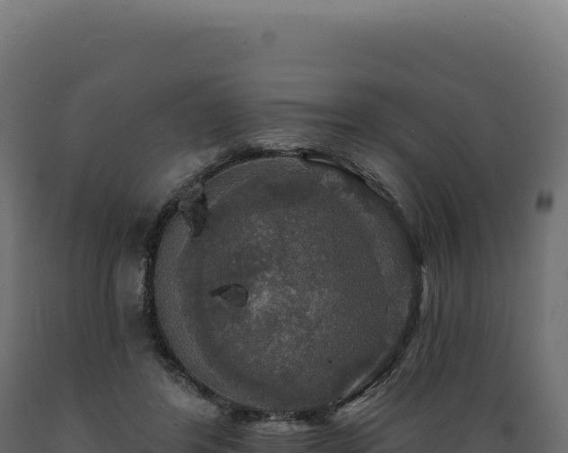 X0000089960404200707061144