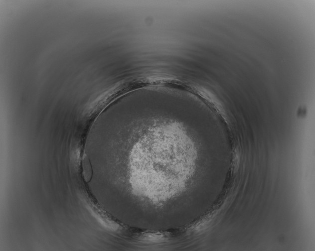 X0000089960405200707061144