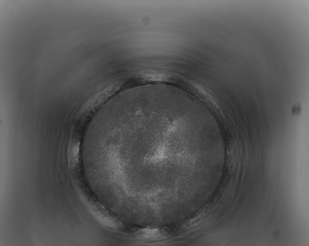 X0000089960406200707061144