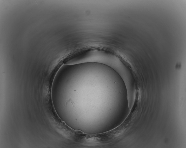 X0000089960407200707061144