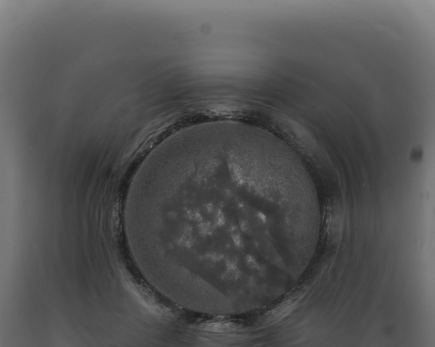 X0000089960408200707061144