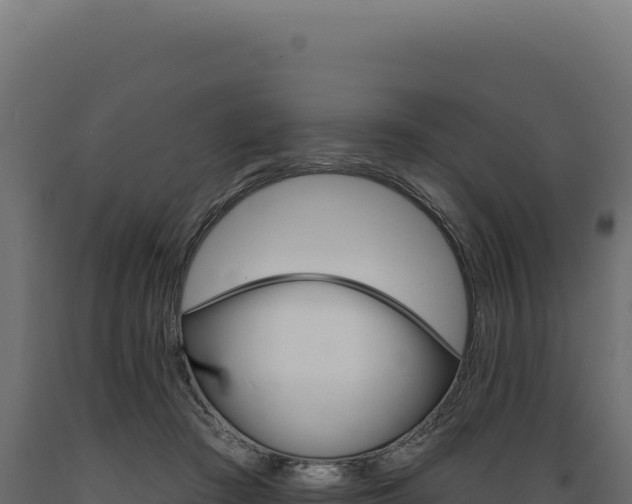 X0000089960409200707061144