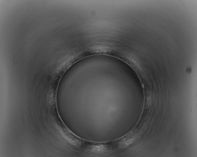 X0000089960411200707061144