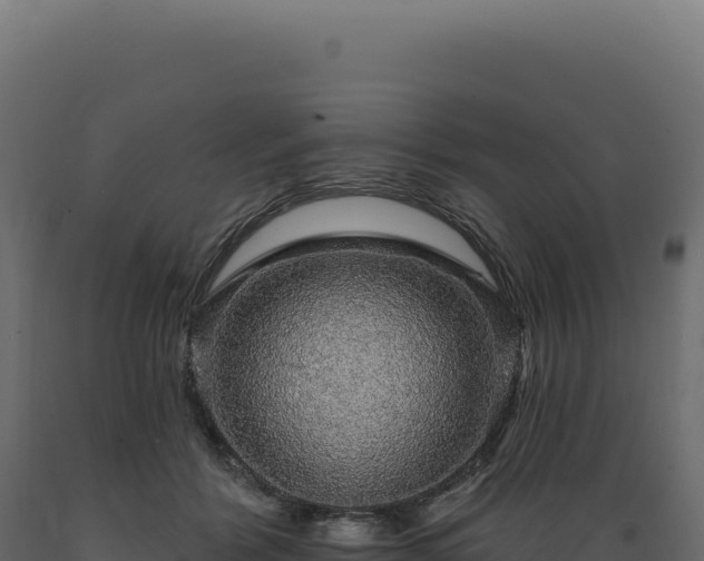 X0000089960412200707061144