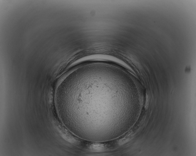 X0000089960413200707061144