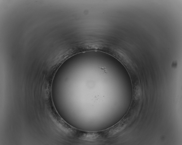 X0000089960414200707061144