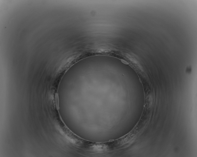 X0000089960415200707061144