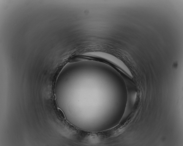 X0000089960416200707061144