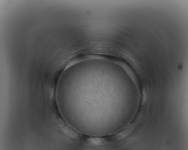 X0000089960417200707061144
