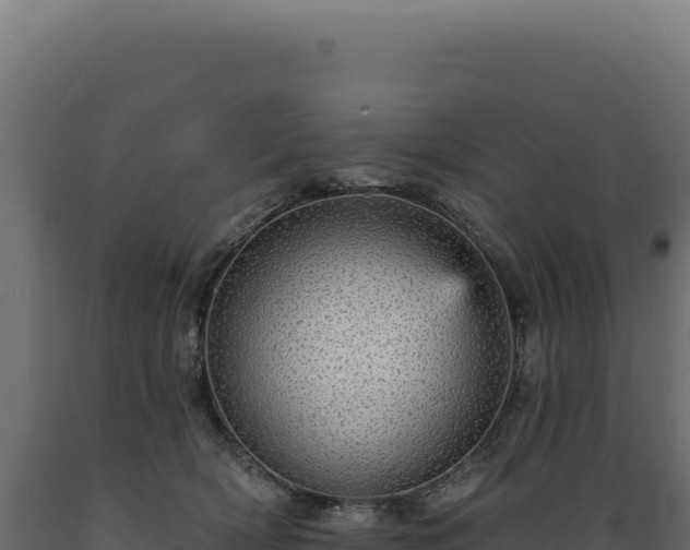 X0000089960418200707061144