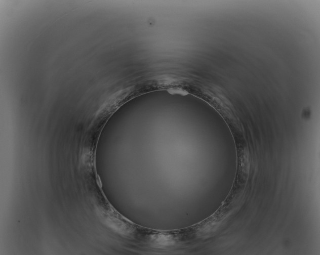 X0000089960419200707061144