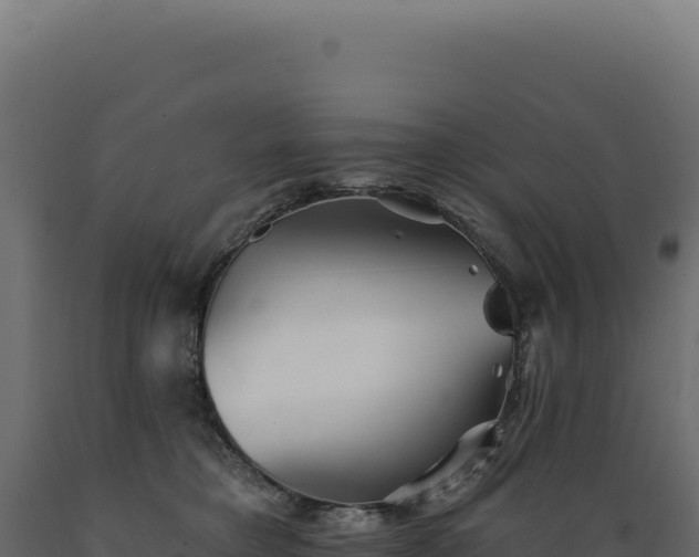 X0000089960421200707061144