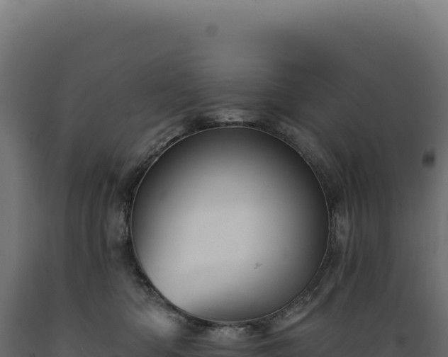 X0000089960422200707061144