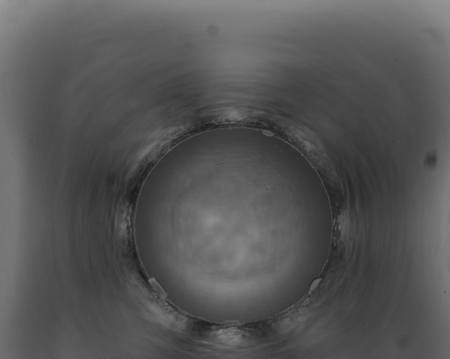 X0000089960423200707061144