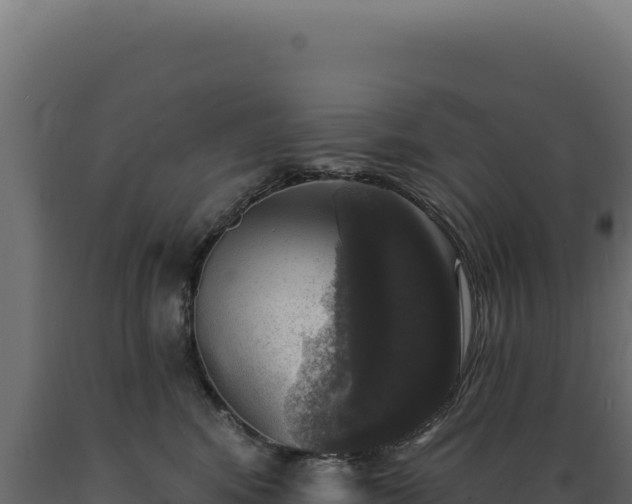 X0000089960424200707061144