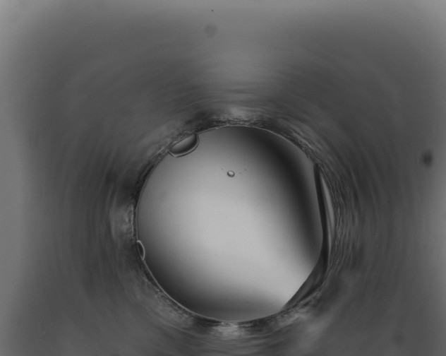 X0000089960425200707061144