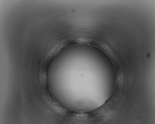 X0000089960426200707061144