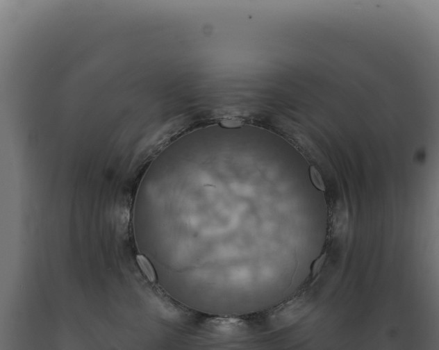 X0000089960427200707061144