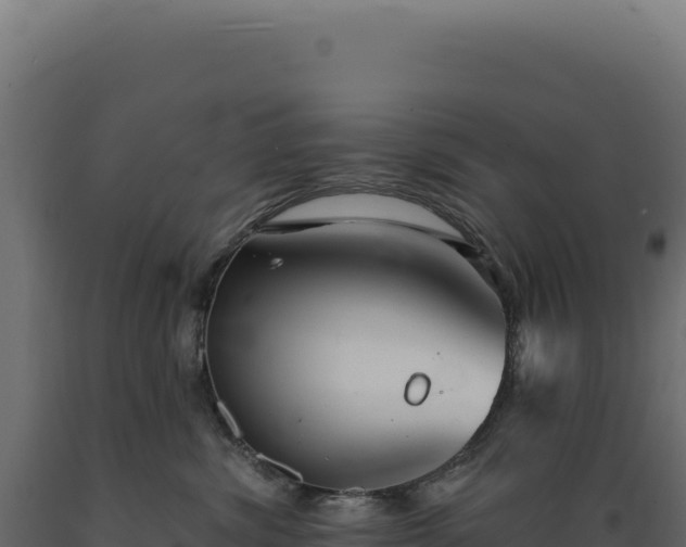 X0000089960428200707061144