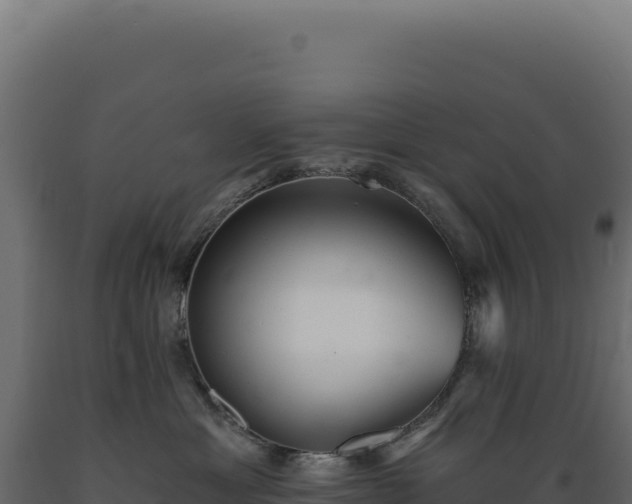 X0000089960429200707061144
