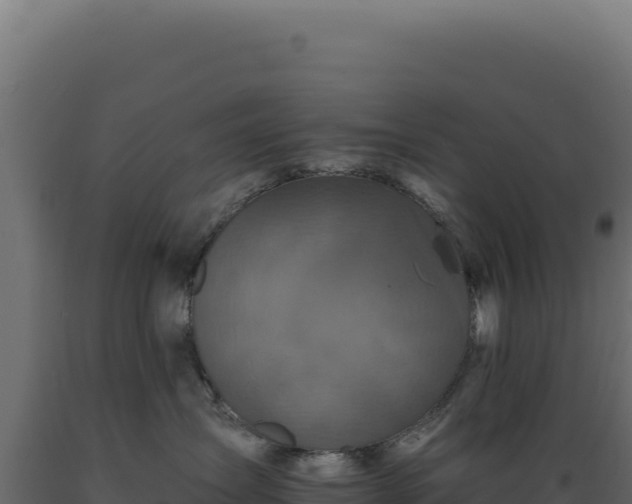 X0000089960431200707061144