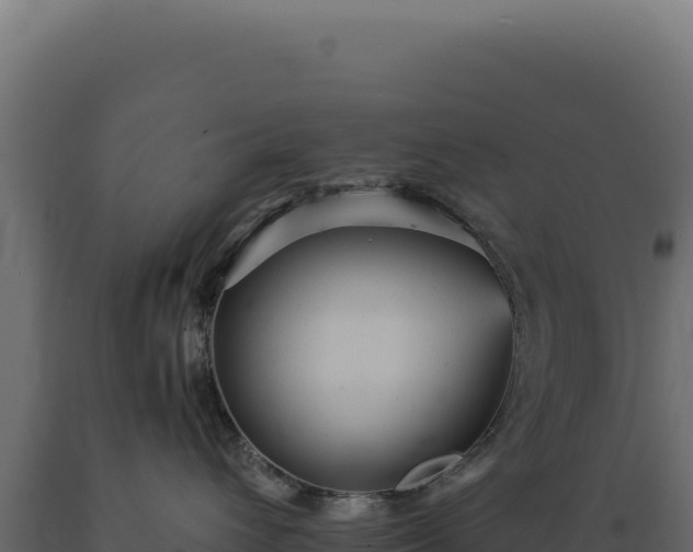 X0000089960432200707061144
