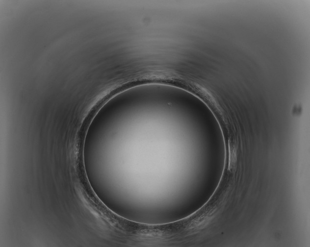 X0000089960435200707061143