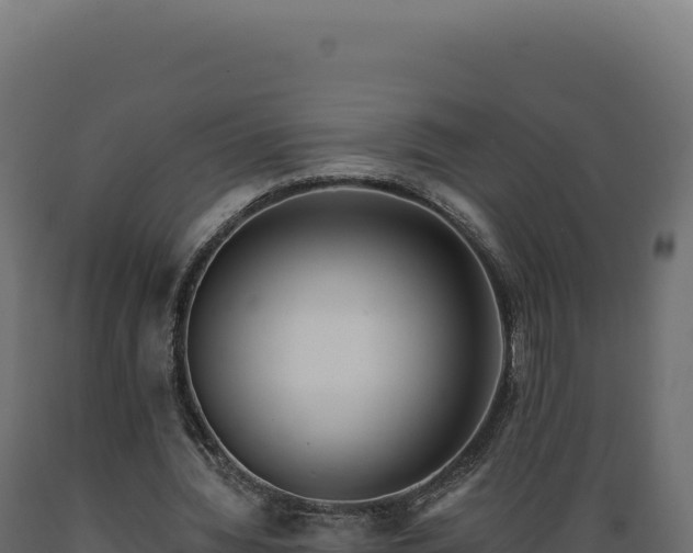 X0000089960436200707061143