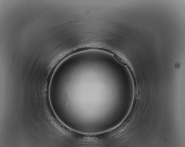 X0000089960437200707061143