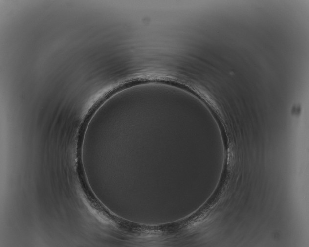 X0000089960438200707061143
