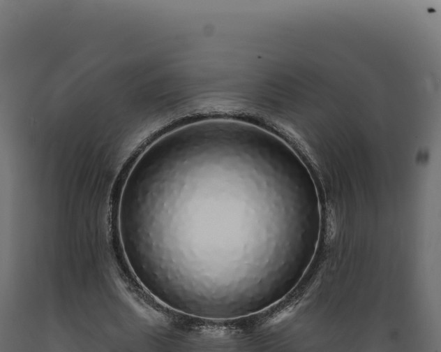 X0000089960439200707061143