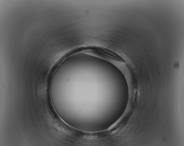 X0000089960440200707061143