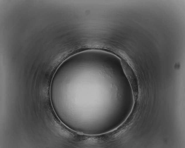 X0000089960441200707061143