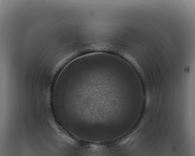 X0000089960442200707061143