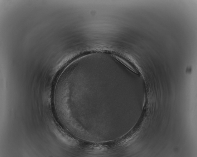 X0000089960443200707061143