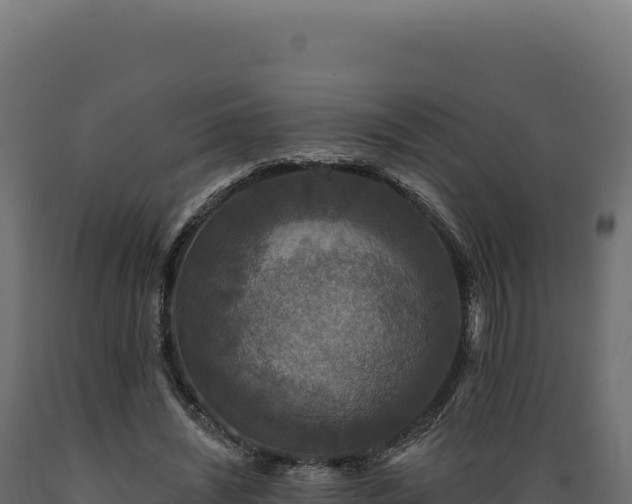 X0000089960444200707061143